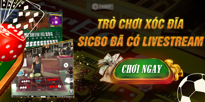 Chia sẻ về các trường hợp MiBet từ chối người chơi khi nào?