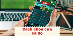 Tìm hiểu về cách chọn cửa cá độ hiệu quả