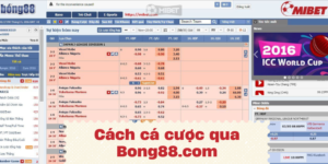 Cách cá cược qua Bong88.com cần nắm ý nghĩa ký hiệu