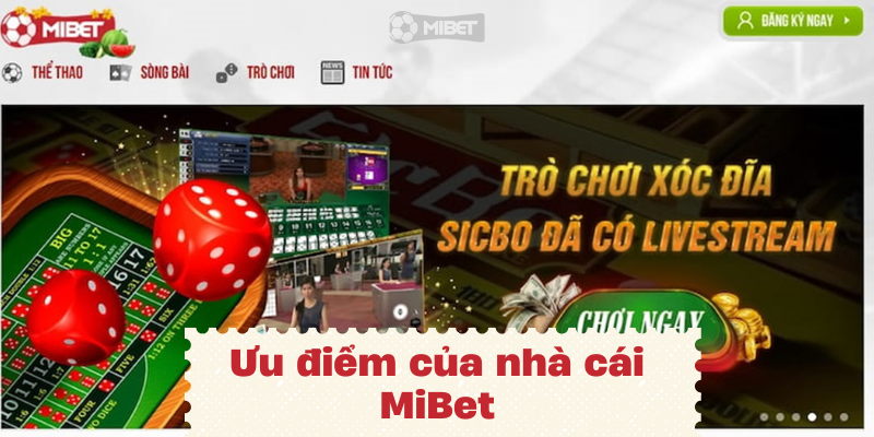 Tìm hiểu thông tin về nền tảng trực tuyến MiBet