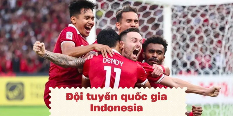 Đội tuyển quốc gia Indonesia đầy huy hoàng và thành tích ấn tượng