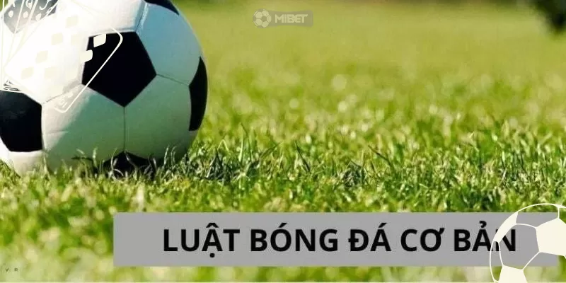 Luật bóng đá quy định chi tiết cơ bản